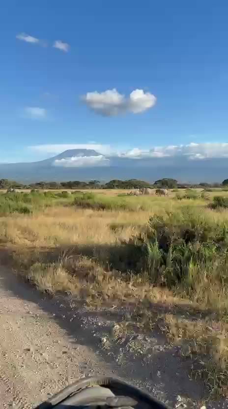 Il Kilimangiaro dalla pista del safari